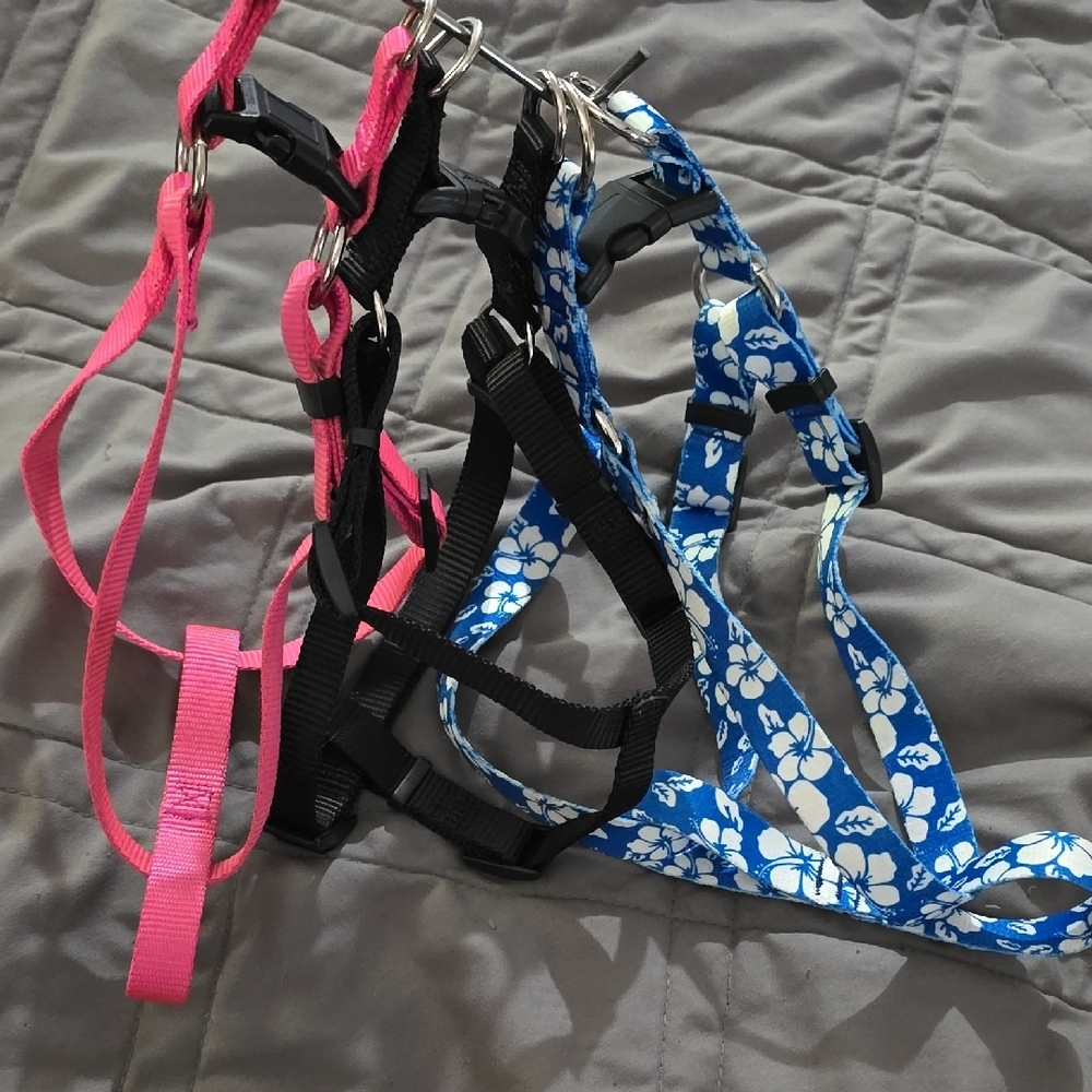 Pet Harness Trio